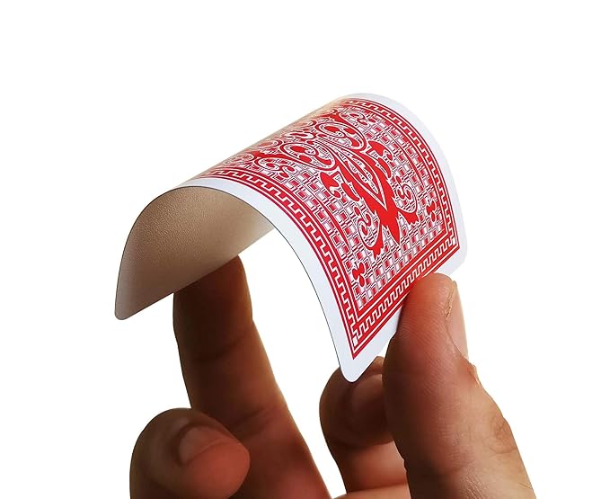 Premium Plastic Playing Cards with Case (2 Decks) - Made in India, Bridge Size, Waterproof - Multicolor, Pack of 2